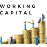 Business Working Capital Loans